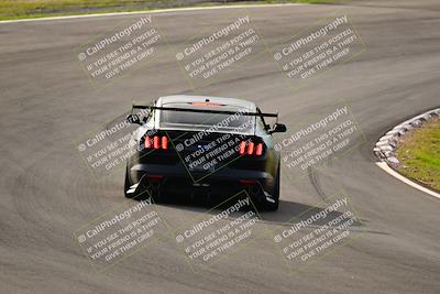 media/Feb-25-2024-Speed Ventures (Sun) [[b9a2a97a4d]]/Mustang Drivers Club/Session 1 (Turns 4 and 5)/